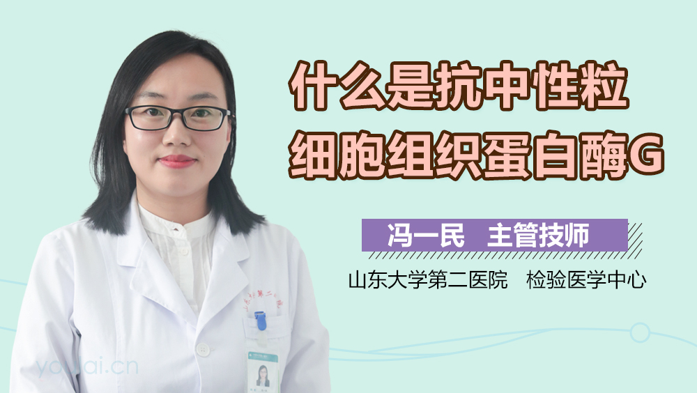 什么是抗中性粒细胞组织蛋白酶G