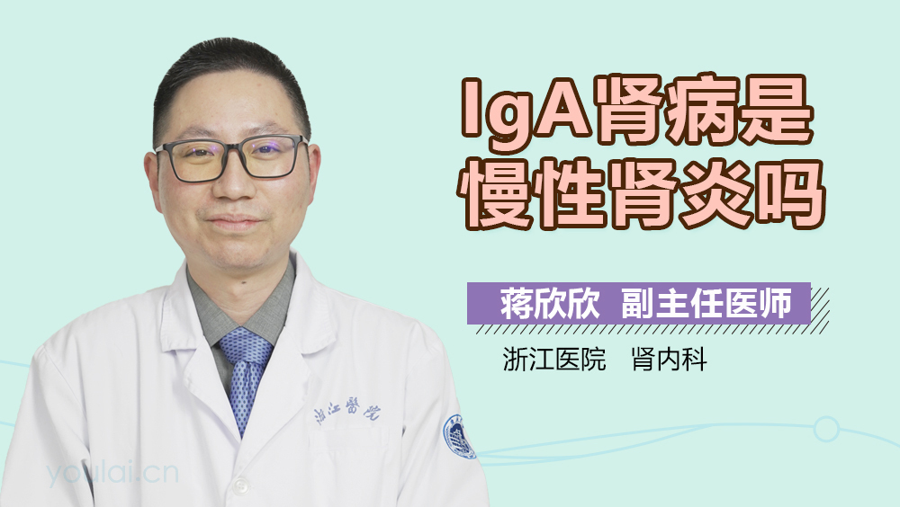 IgA肾病是慢性肾炎吗