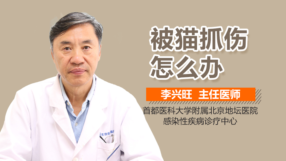 被猫抓伤怎么办