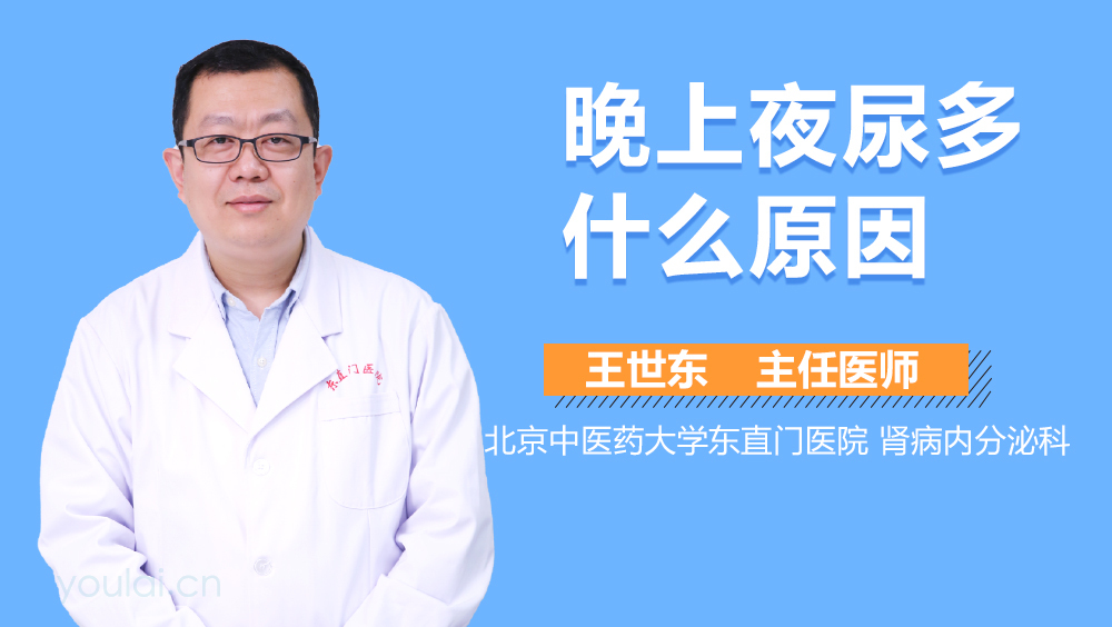 晚上夜尿多什么原因