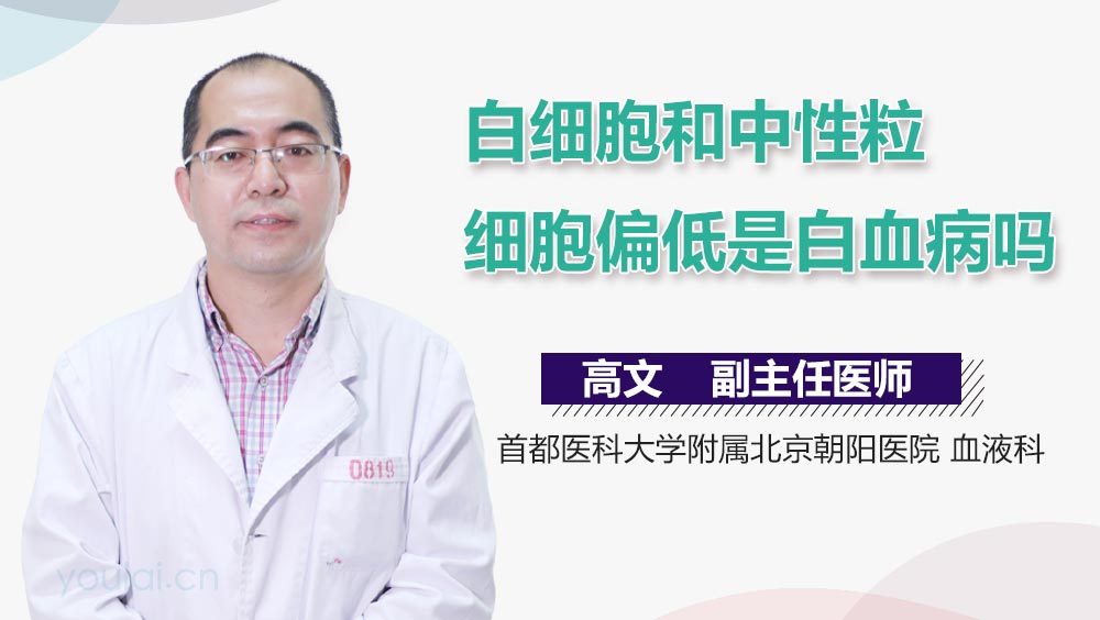 白细胞和中性粒细胞偏低是白血病吗