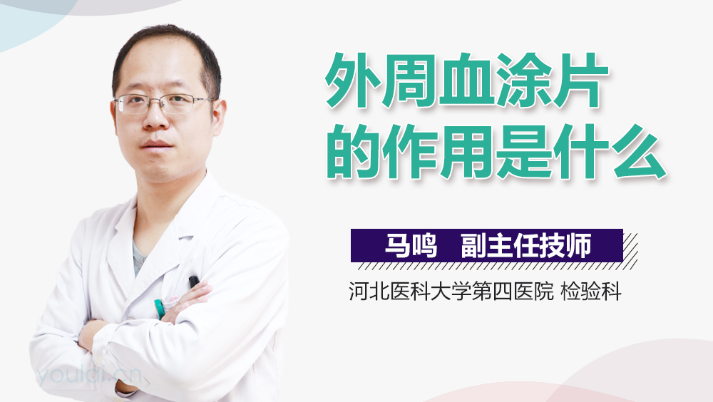 外周血涂片的作用是什么