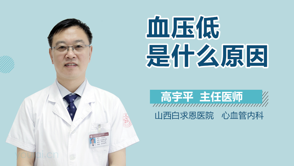 血压低是什么原因
