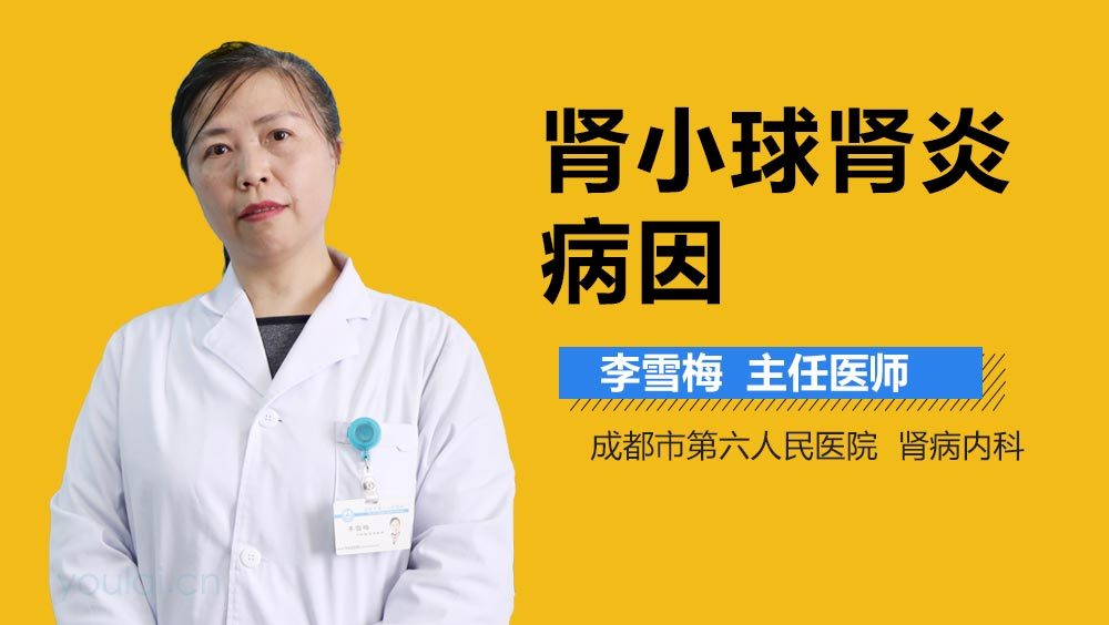 肾小球肾炎病因