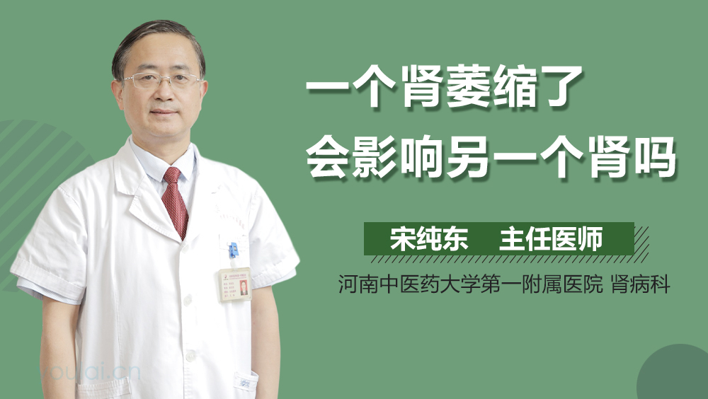 一个肾萎缩了会影响另一个肾吗