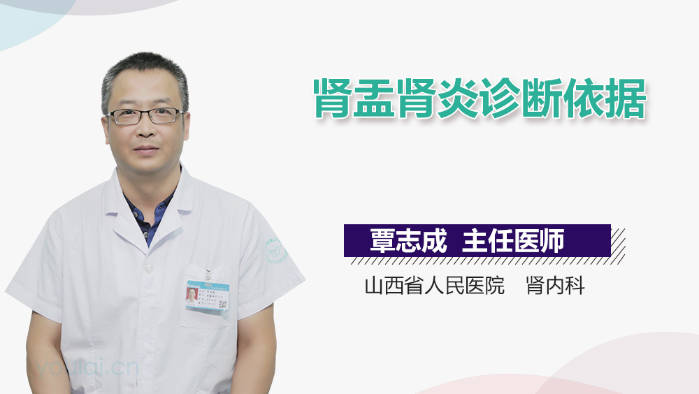 肾盂肾炎诊断依据