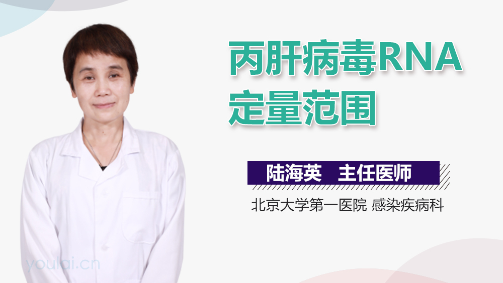丙肝病毒RNA定量范围