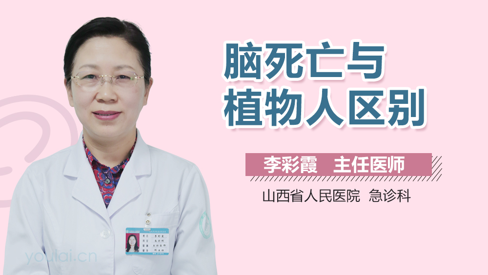 脑死亡与植物人区别