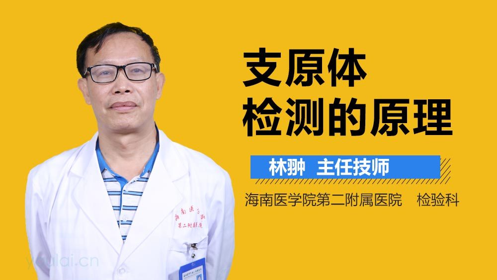 支原体检测的原理