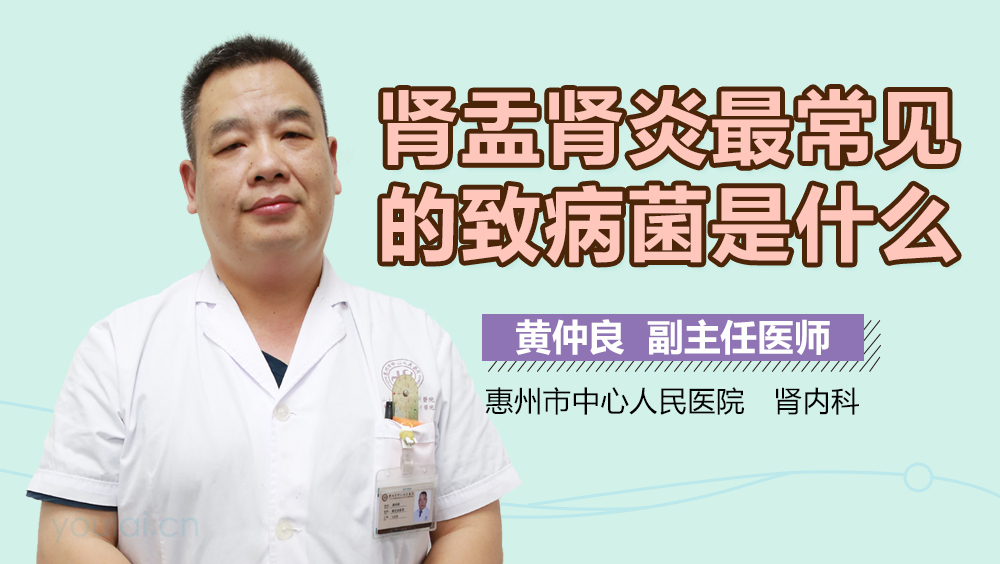 肾盂肾炎最常见的致病菌是什么