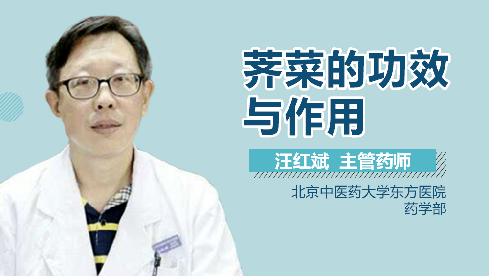 荠菜的功效与作用