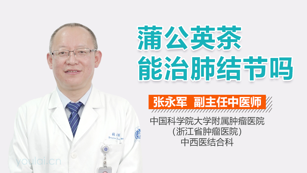 蒲公英茶能治肺结节吗