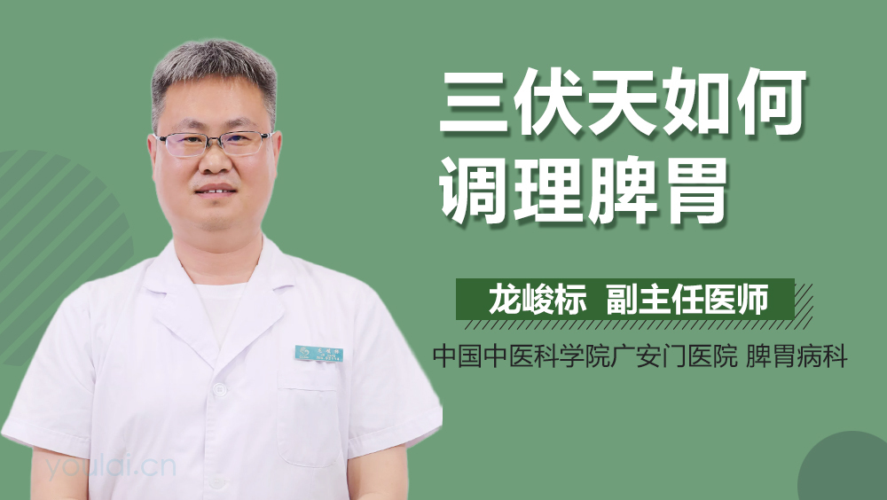 三伏天如何调理脾胃