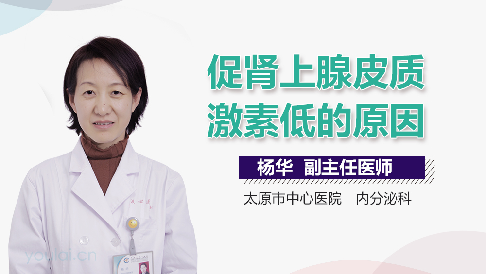 促肾上腺皮质激素低的原因