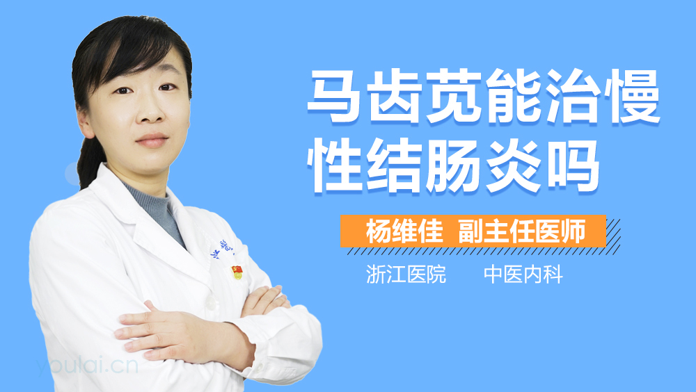 马齿苋能治慢性结肠炎吗