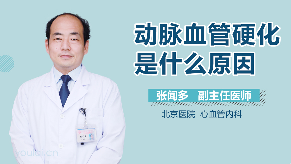 动脉血管硬化是什么原因