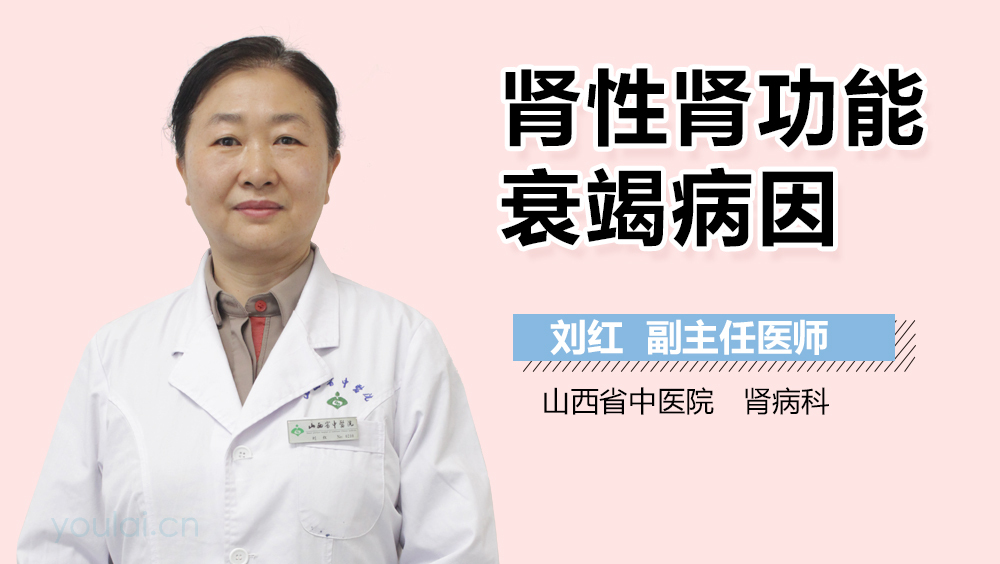 肾性肾功能衰竭病因