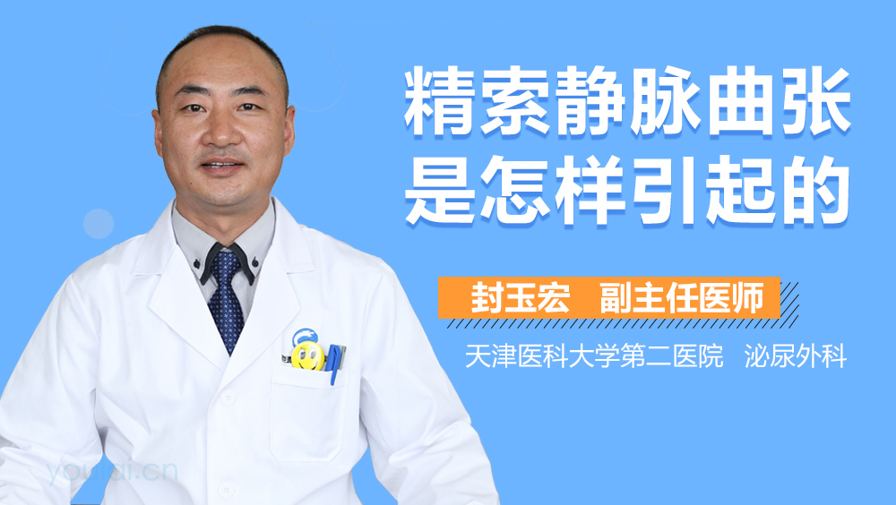 精索静脉曲张是怎样引起的