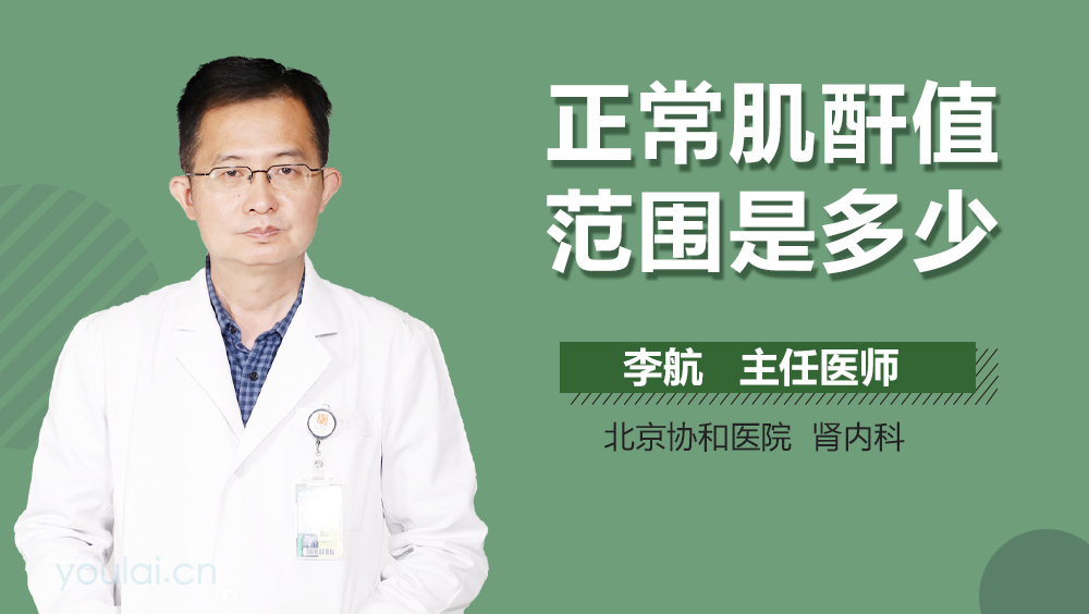 正常肌酐值范围是多少