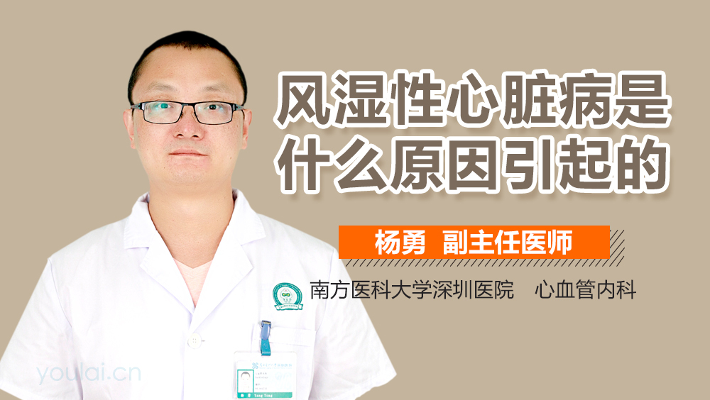 风湿性心脏病是什么原因引起的