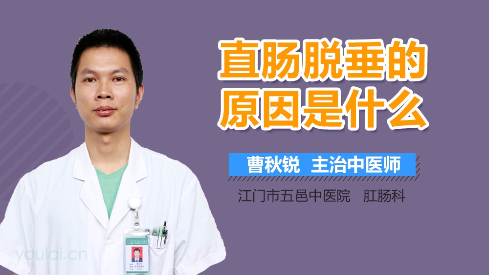 直肠脱垂的原因是什么