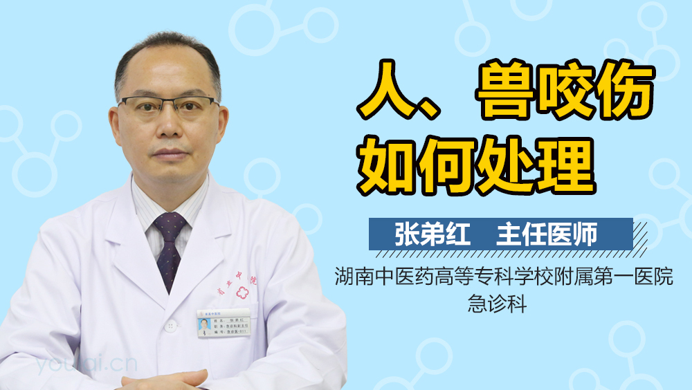 人、兽咬伤如何处理