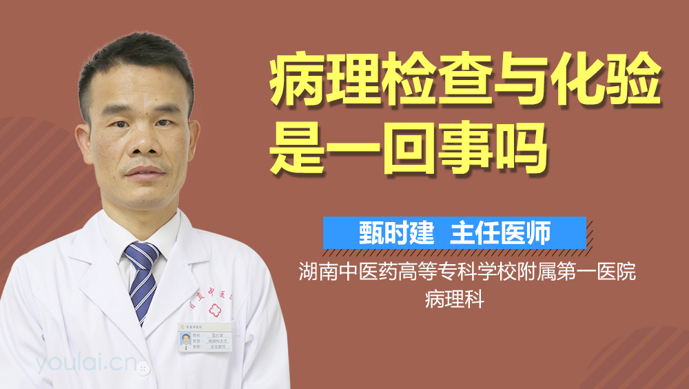 病理检查与化验是一回事吗