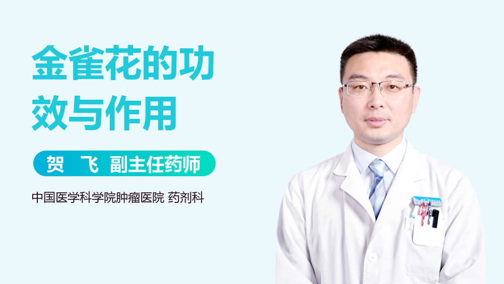 金雀花的功效与作用