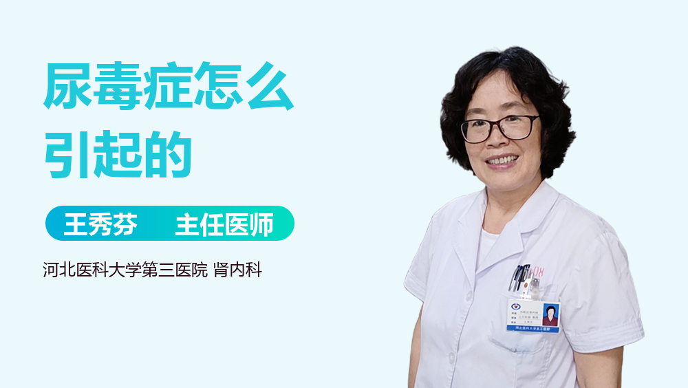 尿毒症怎么引起的