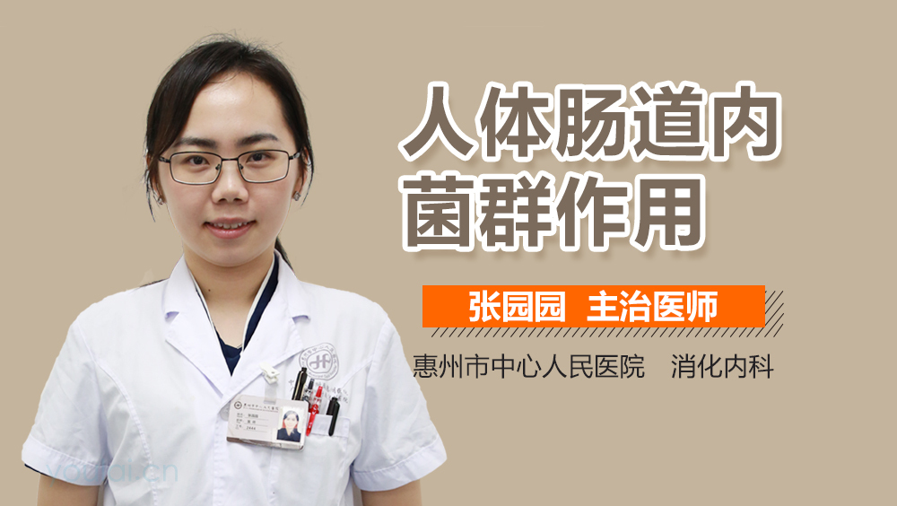 人体肠道内菌群作用