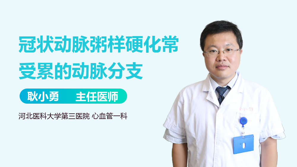 冠状动脉粥样硬化常受累的动脉分支