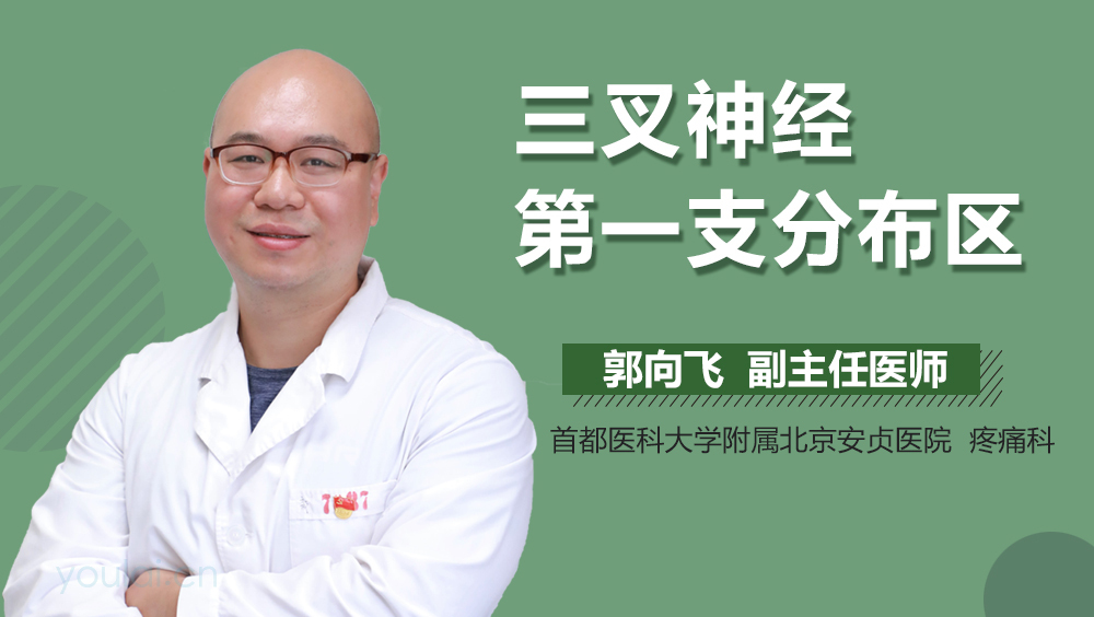 三叉神经第一支分布区