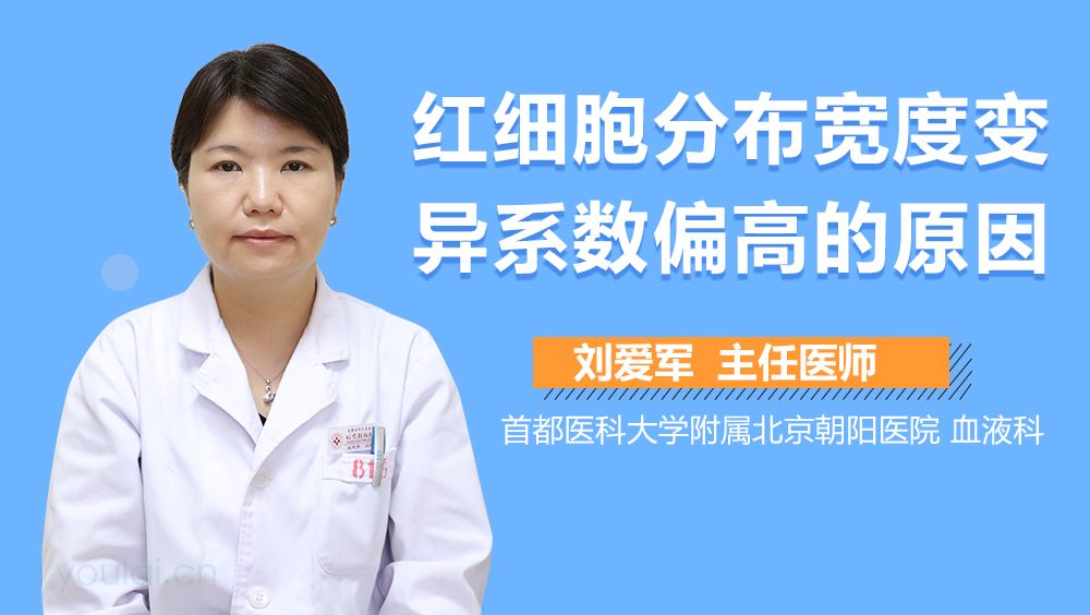 红细胞分布宽度变异系数偏高的原因