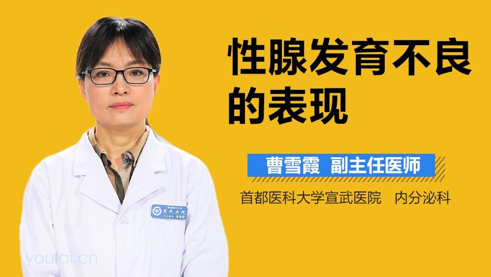 性腺发育不良的表现