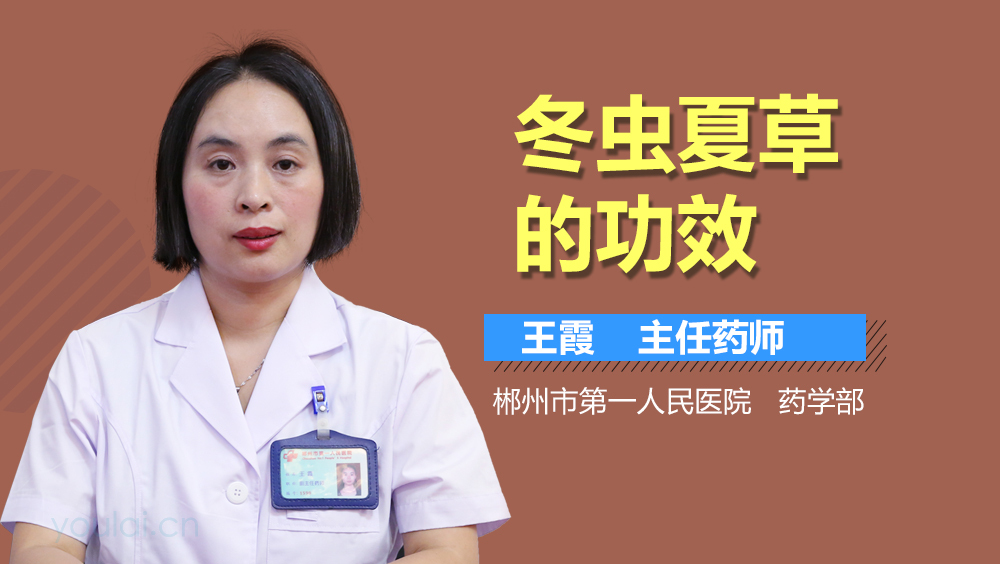 冬虫夏草的功效