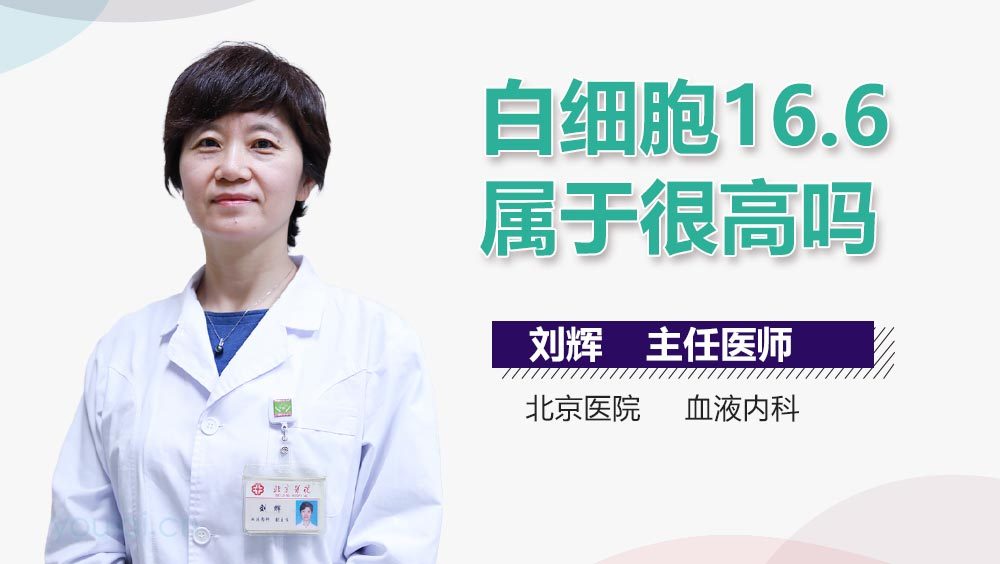 白细胞16.6属于很高吗