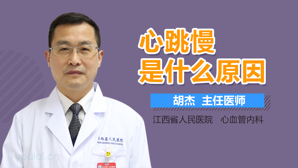 心跳慢是什么原因