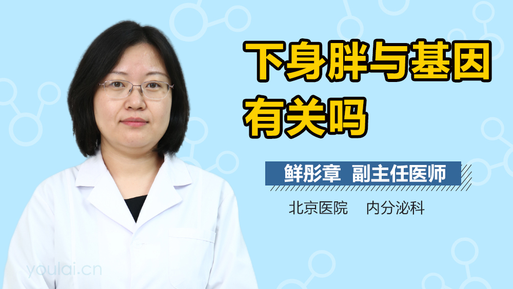 下身胖与基因有关吗