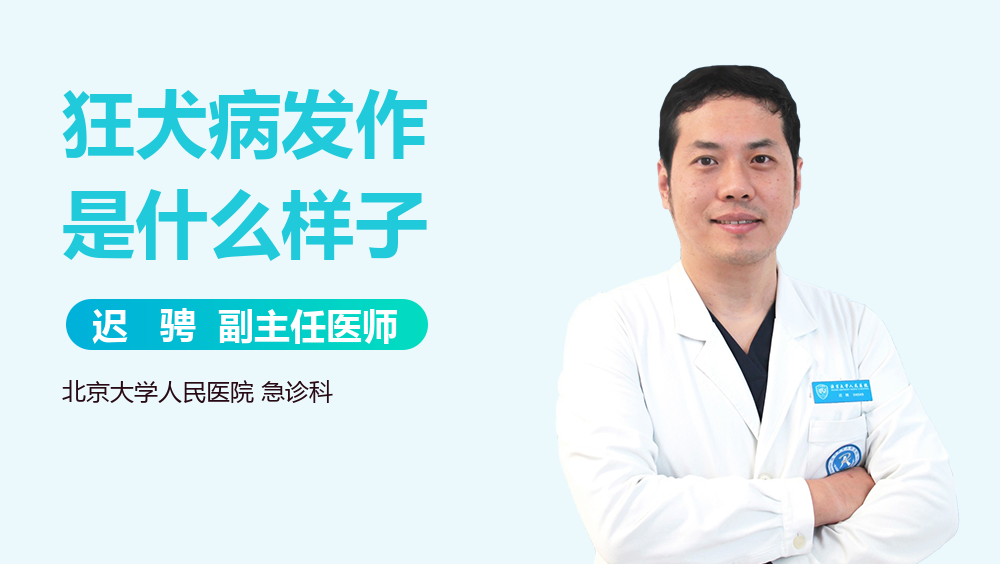 狂犬病发作是什么样子