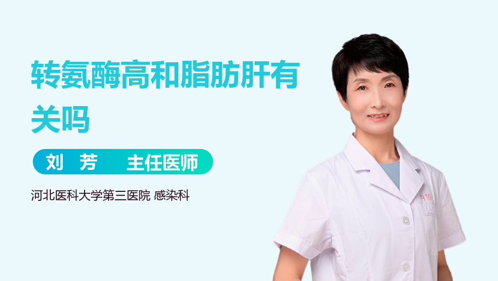 转氨酶高和脂肪肝有关吗