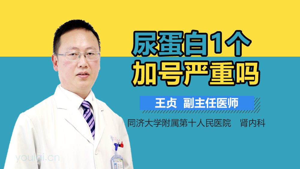 尿蛋白1个加号严重吗