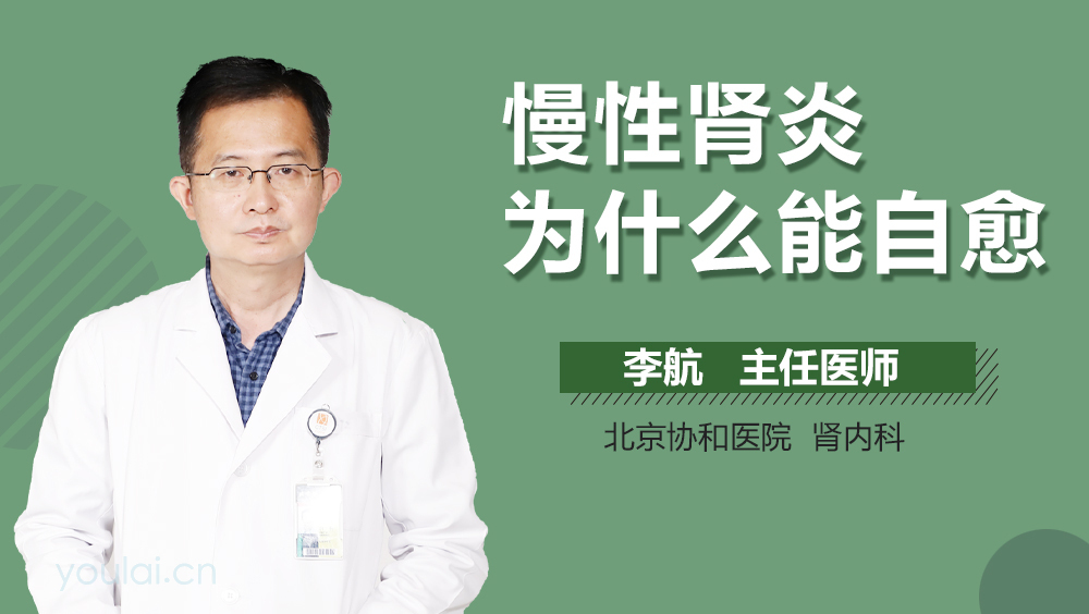 慢性肾炎为什么能自愈