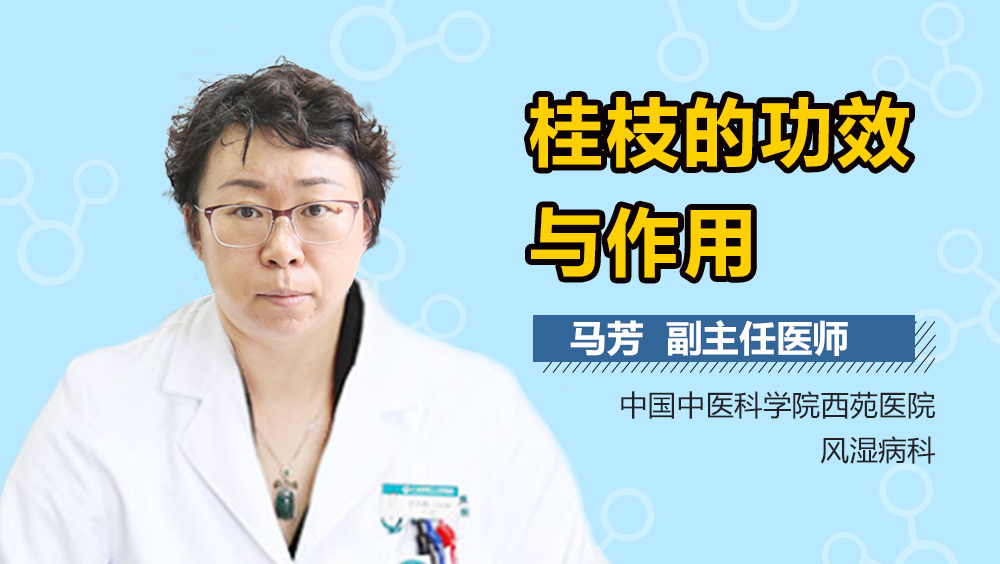 桂枝的功效与作用