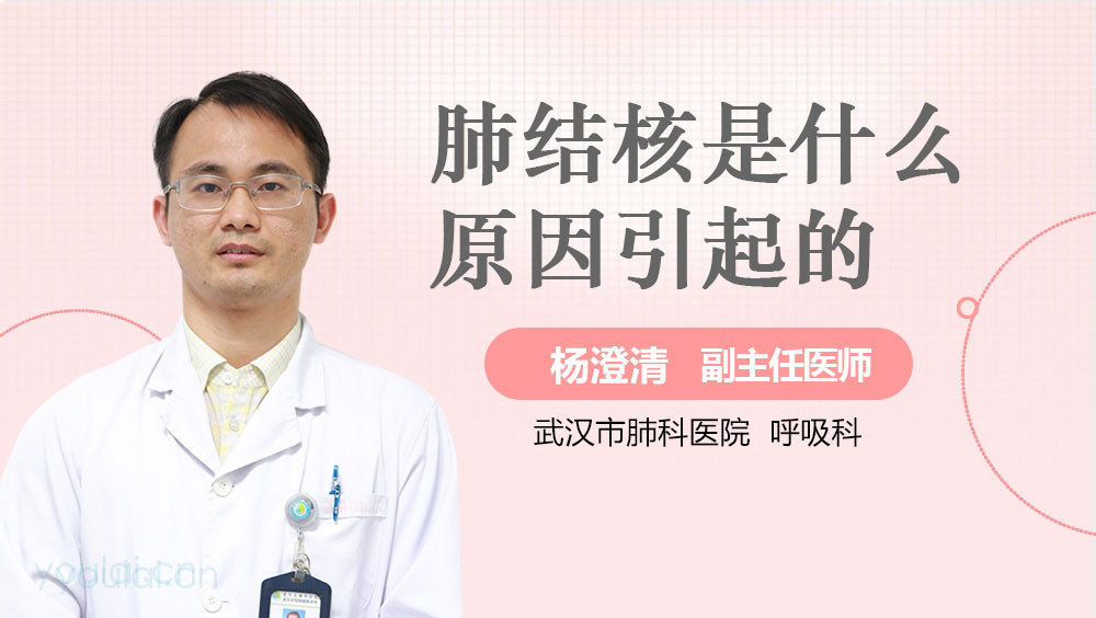 肺结核是什么原因引起的