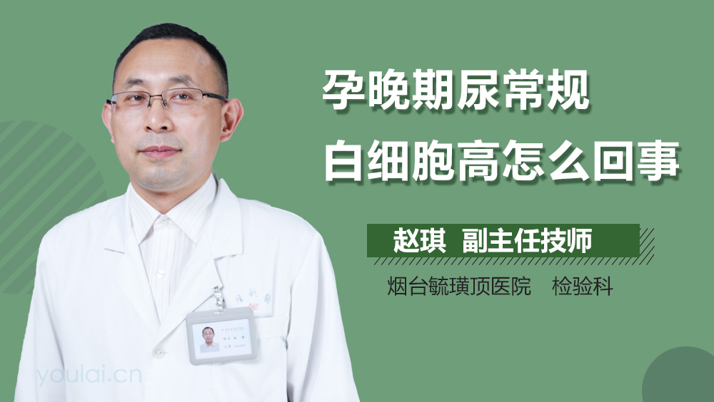 孕晚期尿常规白细胞高怎么回事