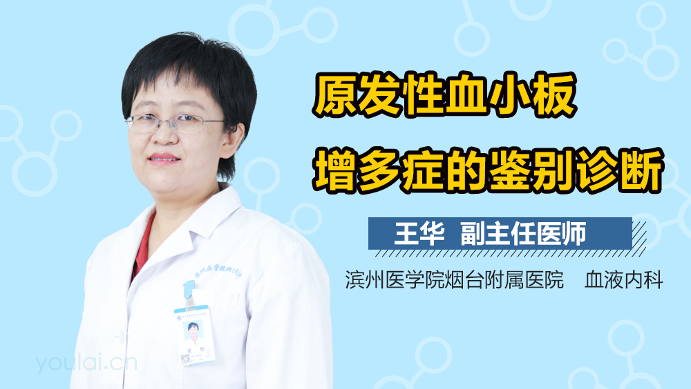 原发性血小板增多症的鉴别诊断