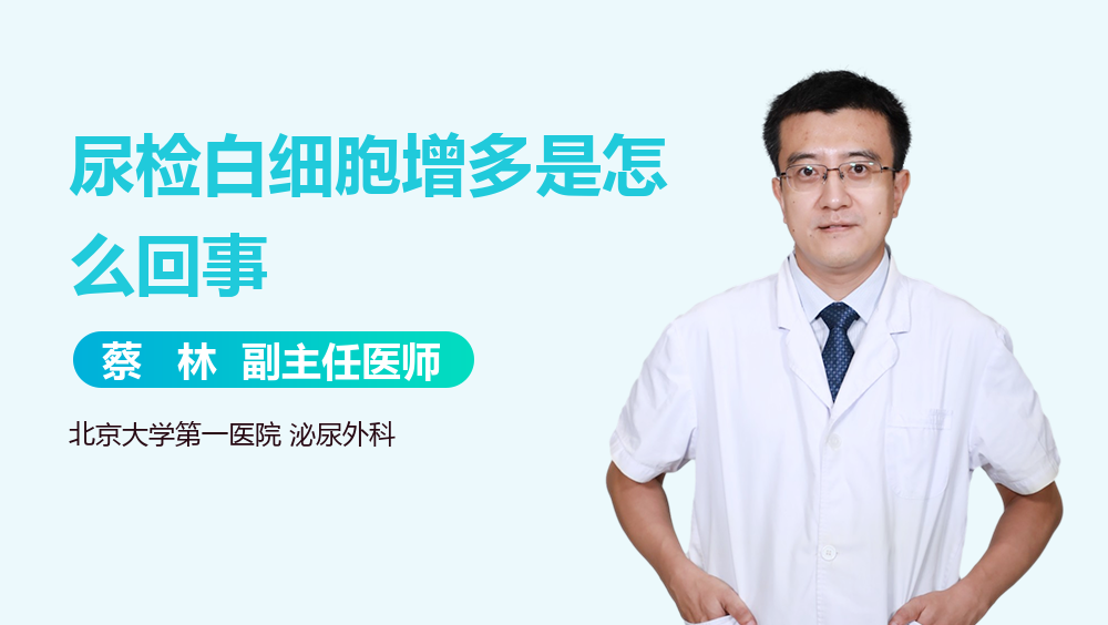 尿检白细胞增多是怎么回事