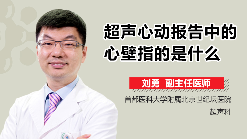 超声心动报告中的心壁指的是什么