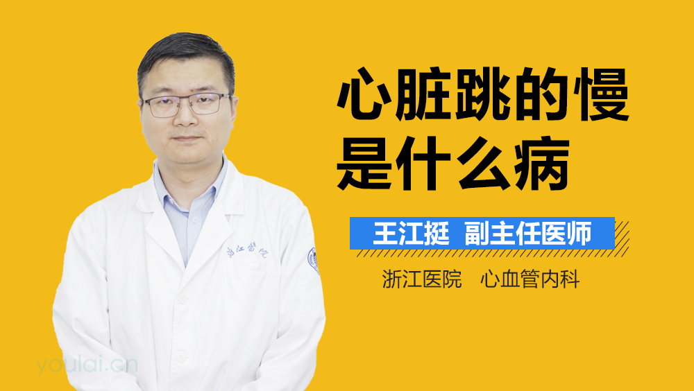 心脏跳的慢是什么病