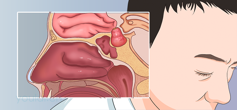 垂体的位置、结构及功能